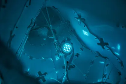 ZodiacBet Kazino Mobilioji programa